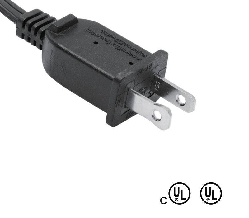 FY-2R 13A 125V Fișă standard americană cu doi pini cu siguranță
